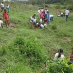 Semarh realiza plantio para recuperação do rio SiririVivo - Fotos: Ascom/Semarh