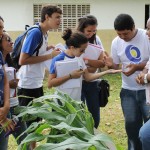 Alunos do ensino médio visitam o perímetro irrigado Piauí