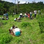 Semarh realiza plantio para recuperação do rio SiririVivo - Fotos: Ascom/Semarh