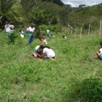 Semarh realiza plantio para recuperação do rio SiririVivo - Fotos: Ascom/Semarh