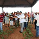 Governo reúne agricultores visando a revitalização do cultivo do algodão  - O agricultor José Pereira da Silva / Fotos:Luiz Carlos/SEAGRI