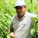 Agricultor familiar aposta no cultivo protegido e na plasticultura - O pequeno produtor rural do perímetro irrigado Piauí