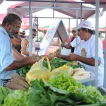 Feira da Agricultura Familiar estreia em Lagarto no próximo sábado - Fotos: Edinah Mary/Seides