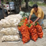 Agricultores da Ribeira vendem produção através do ‘Frutos da Terra’ - Fotos: Ascom/Cohidro