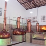 Ciência e Tecnoloia