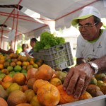 Cohidro participa de Feira de Agricultura Familiar em Aracaju - A gerente de Desenvolvimento Agropecuário da Cohidro