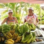 Agricultores sergipanos comercializam em feiras organizadas pela Seides - Fotos: Edinah Mary/Seides