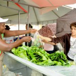 Agricultores sergipanos comercializam em feiras organizadas pela Seides - Fotos: Edinah Mary/Seides