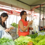 Agricultores sergipanos comercializam em feiras organizadas pela Seides - Fotos: Edinah Mary/Seides