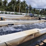 Governo conclui obra de esgotamento sanitário na Barra dos Coqueiros -