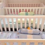 Jackson Barreto participa de inauguração de creche em Santa Rosa de Lima - O presidente da Federação das Indústrias do Estado de Sergipe (Fies)