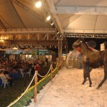Expoese é marcada por bons negócios  - Fotos: Luiz Carlos Loes Moreira/Seagri