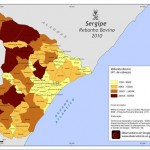 Rebanho bovino sergipano chega a 1