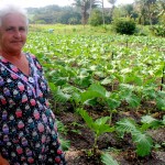 Agricultores familiares comemoram melhorias no perímetro da Ribeira -  Dona Josefa Oliveira dos Passos comemora / Fotos: Ascom/Cohidro