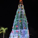 rvore de Natal ecológica é inaugurada no Centro de Criatividade -