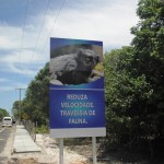 Ministério do Turismo realiza vistoria na Rodovia PontalConvento - A técnica do Ministério do Turismo Mariana Costa realizando a vistoria na rodovia