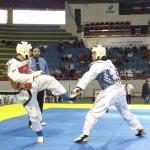 Seletiva para Seleção Olímpica Nacional de Taekwondo tem apoio da Seel - Fotos: Ascom/Seel
