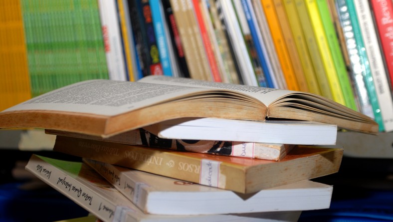 Empréstimo de livros na BPED cresce 20% em 2011