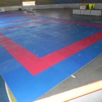 Seletiva Olímpica de Taekwondo acontece neste fim de semana em Sergipe -