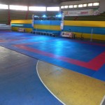 Seletiva Olímpica de Taekwondo acontece neste fim de semana em Sergipe -