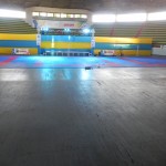 Seletiva Olímpica de Taekwondo acontece neste fim de semana em Sergipe -