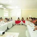 Seides monta Plano de Ação para atividades de 2012 -