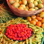 Agricultores da Cohidro investem R$ 413 mil nas lavouras com o crédito rural - Fotos: Ascom/Cohidro