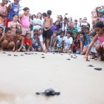 III Verão Ambiental leva diversão e sensibilização à população do Litoral Sul - Fotos: Ascom/Semarh
