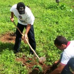Agricultores da Cohidro investem R$ 413 mil nas lavouras com o crédito rural - Fotos: Ascom/Cohidro