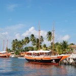 Sergipe participa de Workshop da CVC -