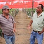 Agricultor reduz agrotóxicos na lavoura com uso de tela especial - Fotos: Ascom/Cohidro