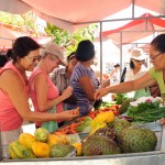 Governo realiza primeira feira da agricultura familiar em Boquim - Fotos: Edinah Mary/Seides