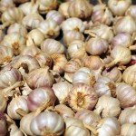 Feira da Agricultura Familiar já fidelizou clientes em Aracaju -