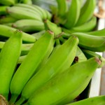 Feira da Agricultura Familiar já fidelizou clientes em Aracaju -