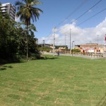 Reforma do Parque dos Cajueiros será concluída em março - Fotos: Mario Sousa/Seinfra