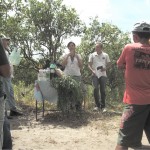 Agricultores aprendem práticas sobre diversificação de fruticultura -