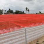 Agricultor reduz agrotóxicos na lavoura com uso de tela especial - Fotos: Ascom/Cohidro