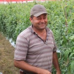 Agricultor reduz agrotóxicos na lavoura com uso de tela especial - Fotos: Ascom/Cohidro