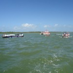 Semarh participa do 9º passeio Ecológico Aracaju de Tototó - Fotos: Ascom/Semarh