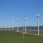 desenvolvimento e sustentabilidade - Ana Mendonça