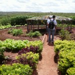 Tecnologia Social ‘Pais’ é destaque no programa Globo Rural - Fotos: Ascom/Cohidro