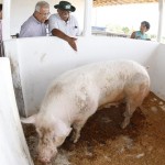 Jackson visita projetos do Sebrae em diversos municípios do estado -