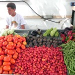 Produtos orgânicos atraem consumidores para Feira de Agricultura em Aracaju - Fotos: Ascom/Inclusão