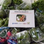 Produtos orgânicos atraem consumidores para Feira de Agricultura em Aracaju - Fotos: Ascom/Inclusão