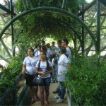 Intercâmbio leva alunos de escolas do interior ao Parque da Cidade - Fotos: Ascom/Emdagro