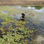 Plantas aquáticas e abelhas orquídeas qualificam biodiversidade de Unidades de Conservação do Estado - Coleta de plâncton (filtração) / Fotos: Ascom/Semarh