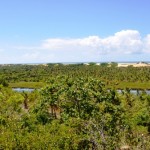 Baixo São Francisco: um passeio surpreendente em Sergipe -