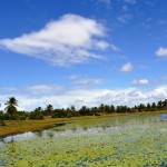 Baixo São Francisco: um passeio surpreendente em Sergipe -