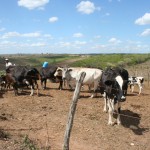 Crédito Fundiário muda a vida de agricultores familiares em Sergipe -