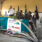 Emdagro quer revitalizar a cultura do abacaxi em Riachão do Dantas - Fotos: Ascom/Emdagro